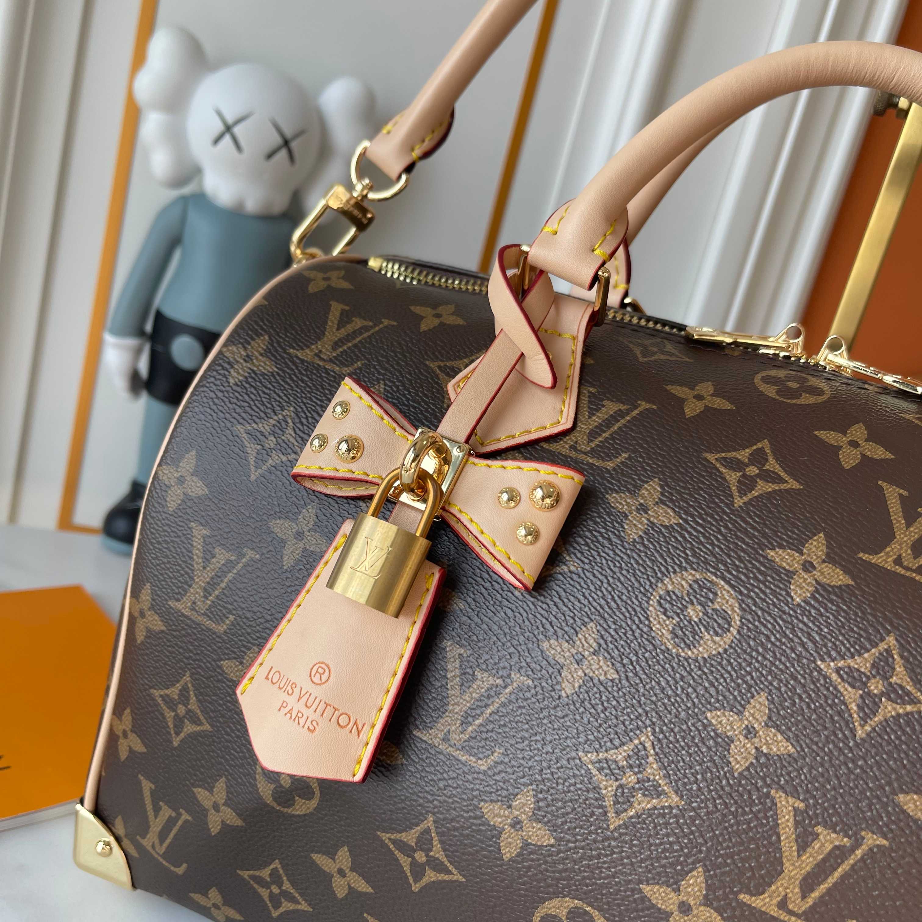 New Luxury LV Bag 10302