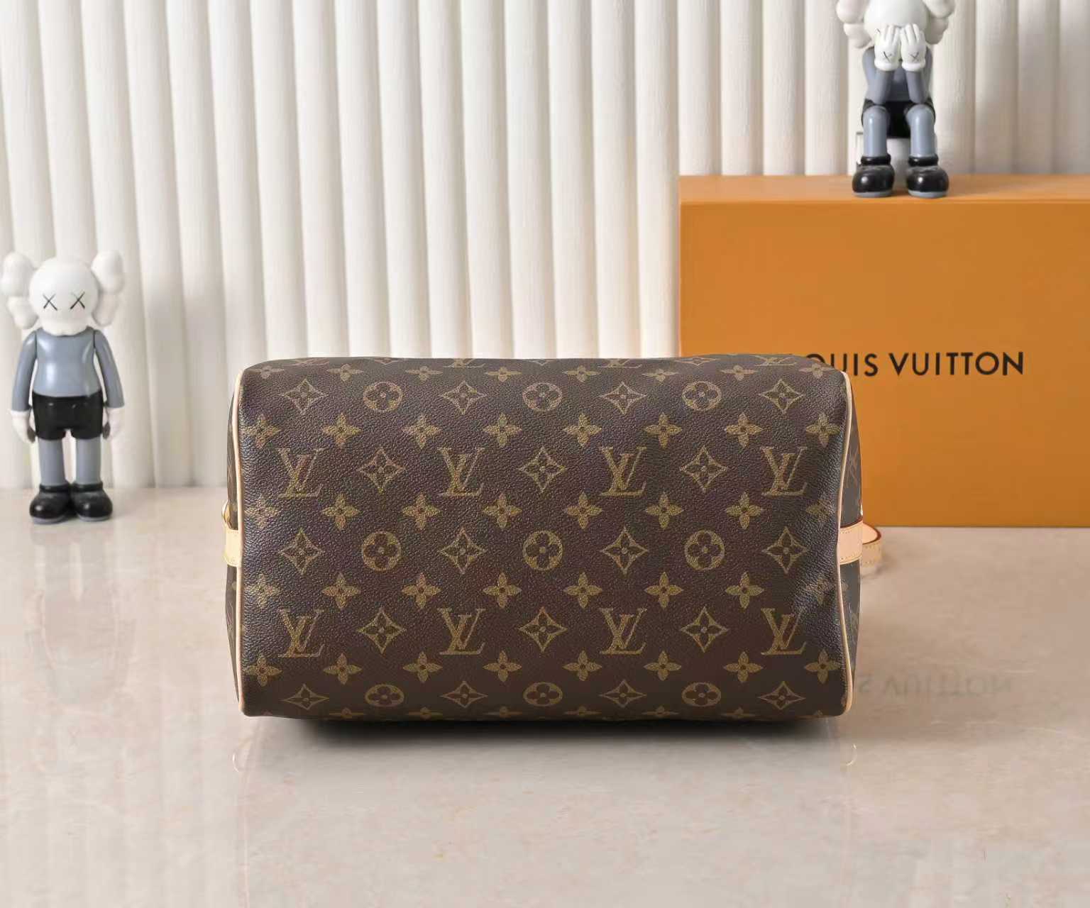 New Luxury LV Bag 10307