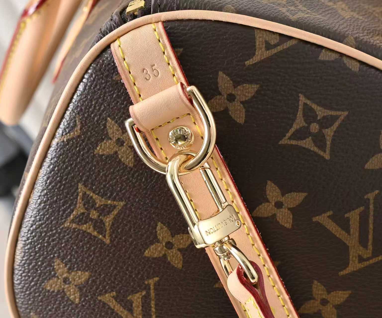 New Luxury LV Bag 10308
