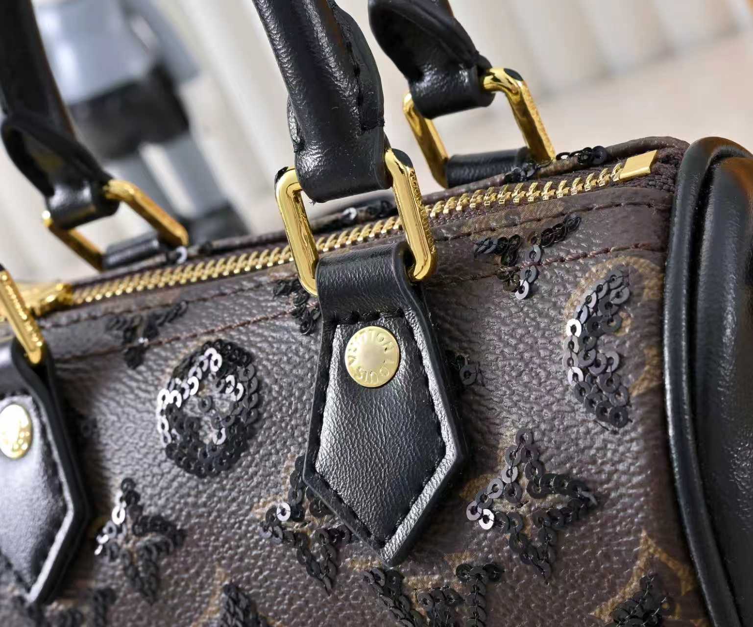 New Luxury LV Bag 10311