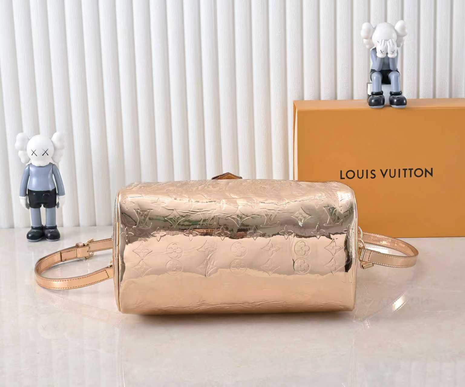 New Luxury LV Bag 10315