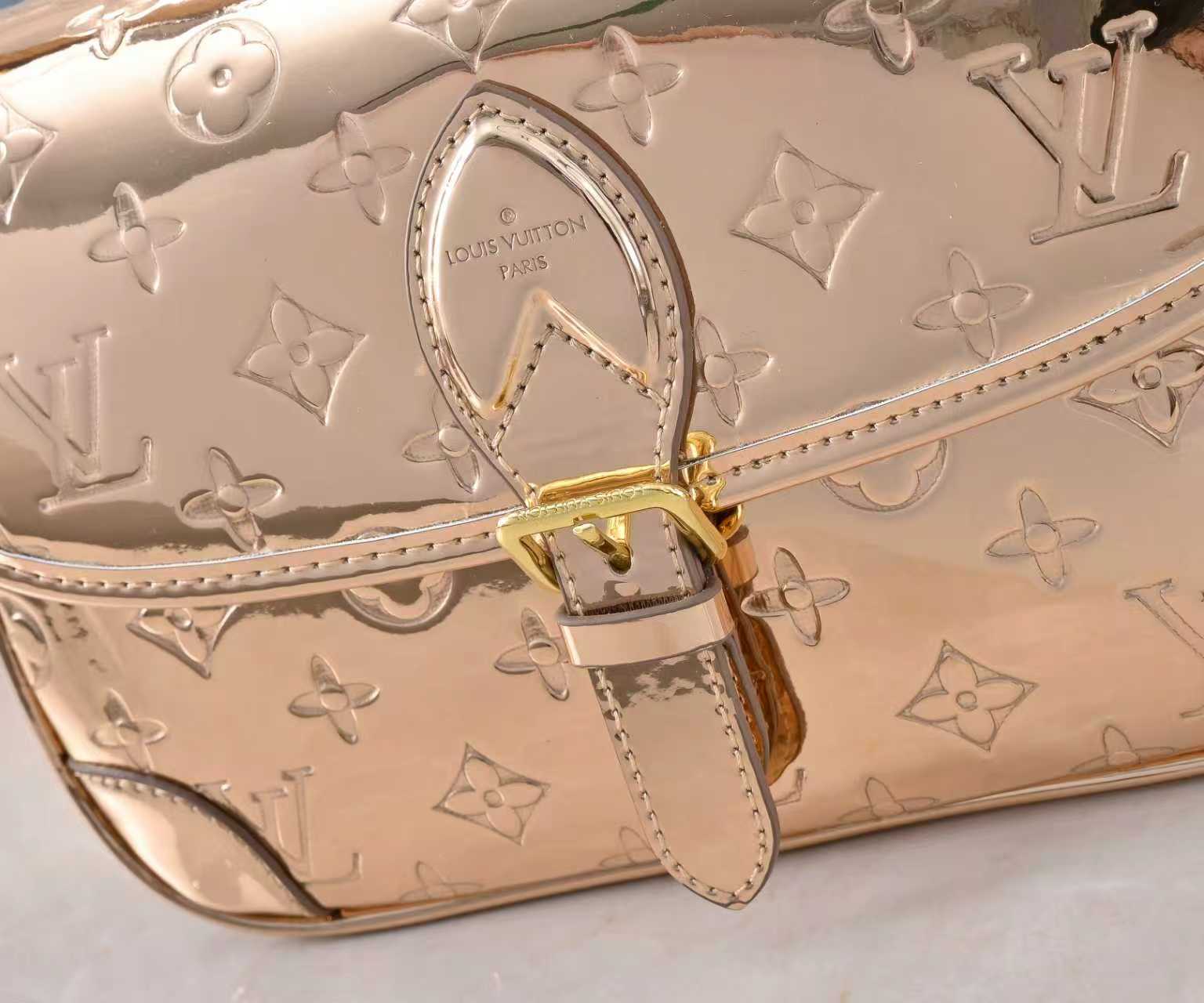 New Luxury LV Bag 10316