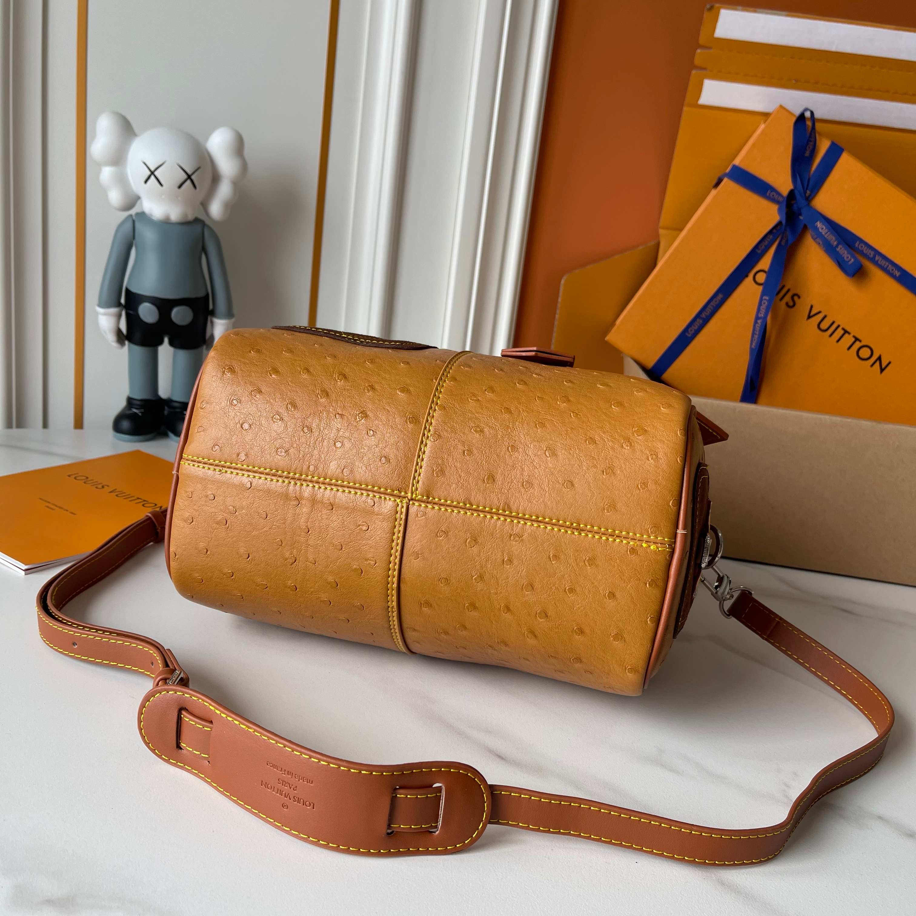 New Luxury LV Bag 10378