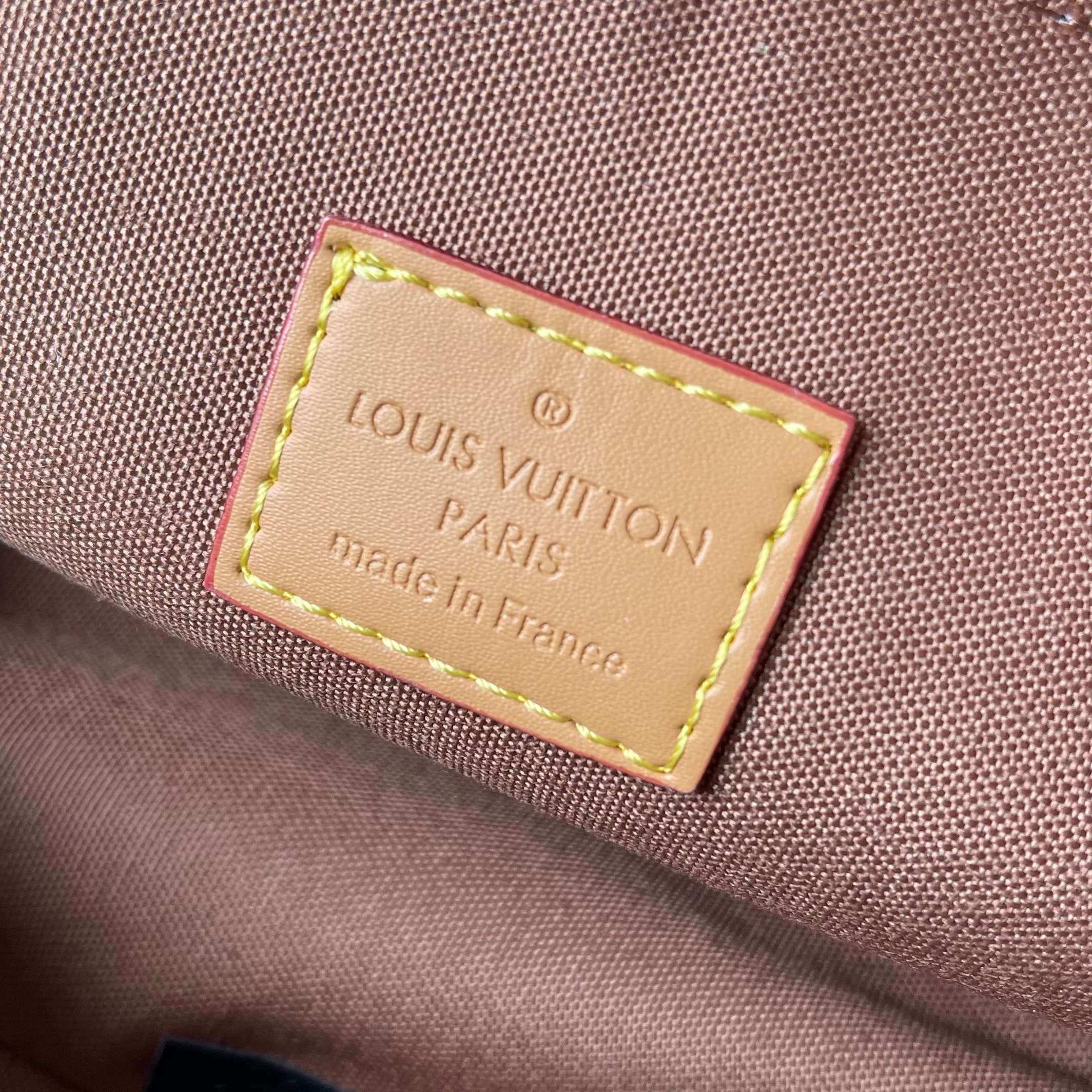 New Luxury LV Bag 10388