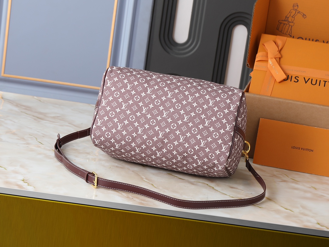 New Luxury LV Bag 10409