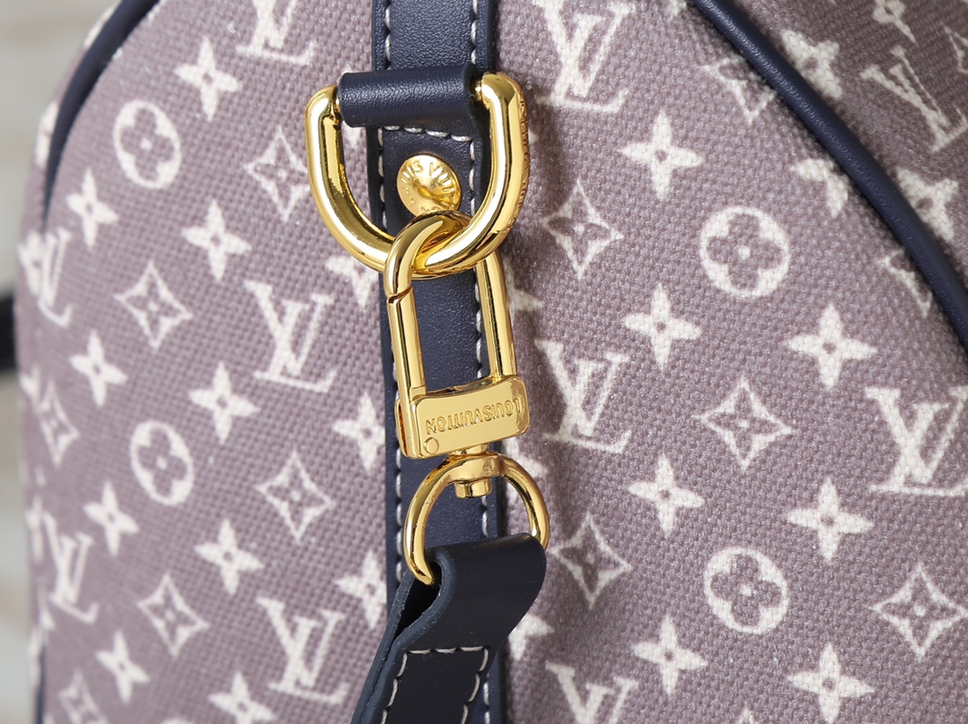 New Luxury LV Bag 10410