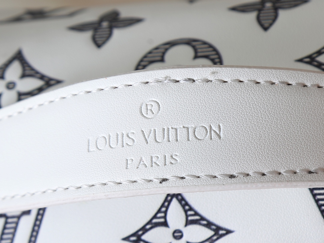 New Luxury LV Bag 10411