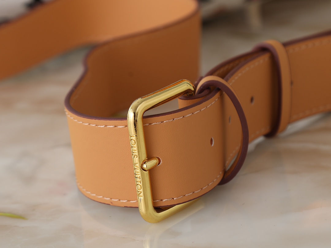 New Luxury LV Bag 10424