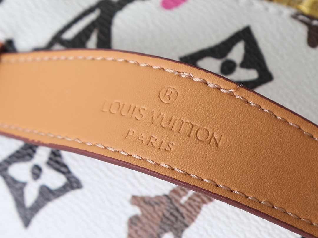 New Luxury LV Bag 10424