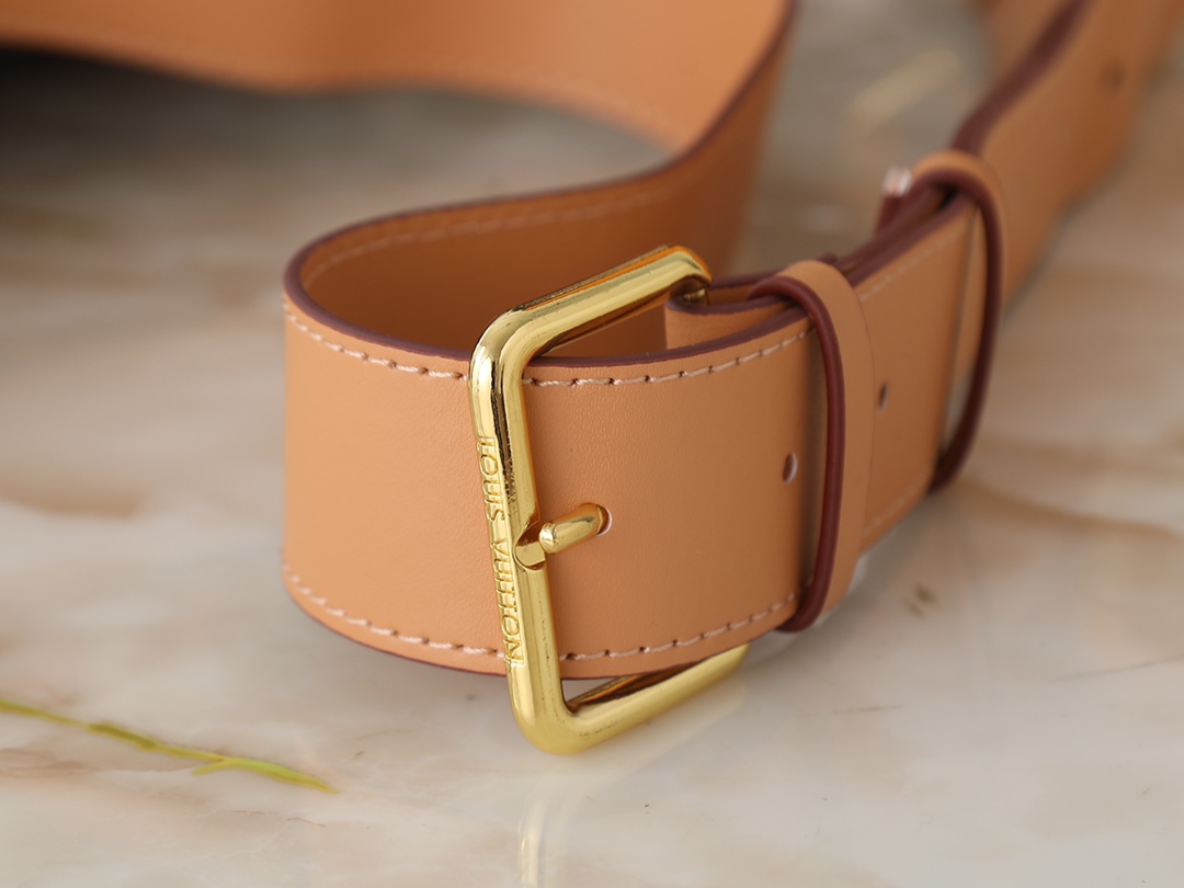 New Luxury LV Bag 10425