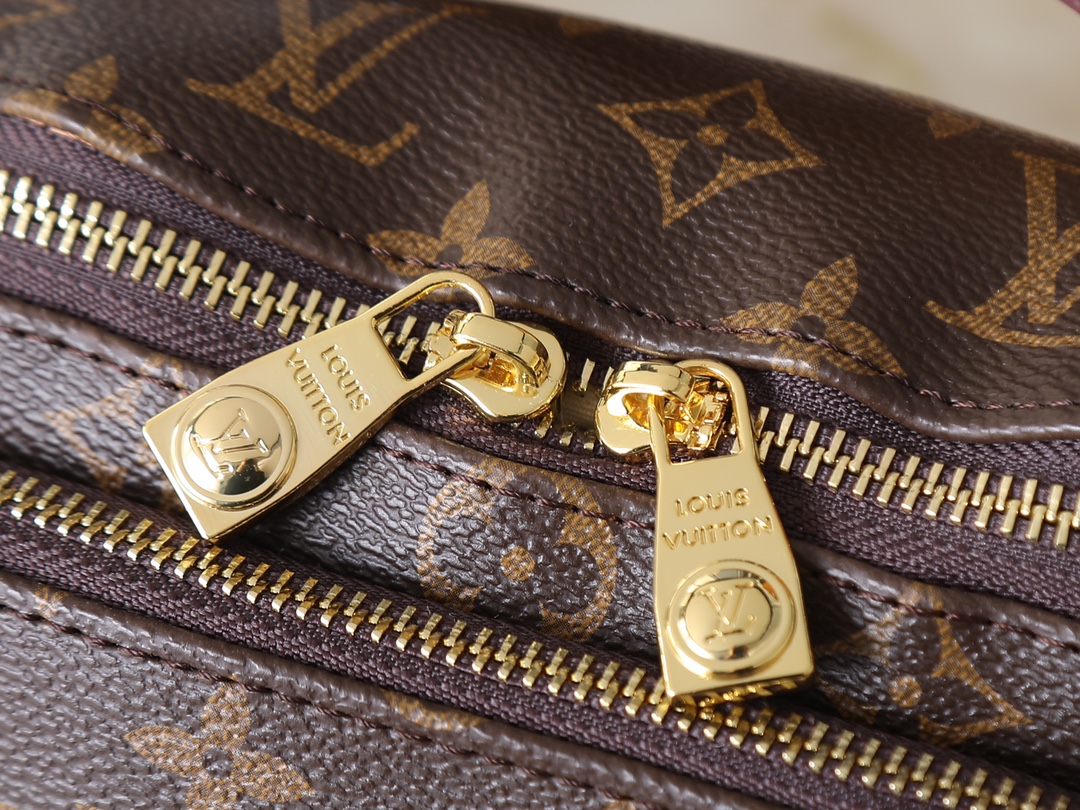 New Luxury LV Bag 10426