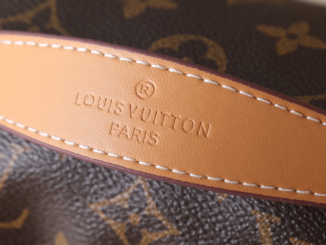 New Luxury LV Bag 10426