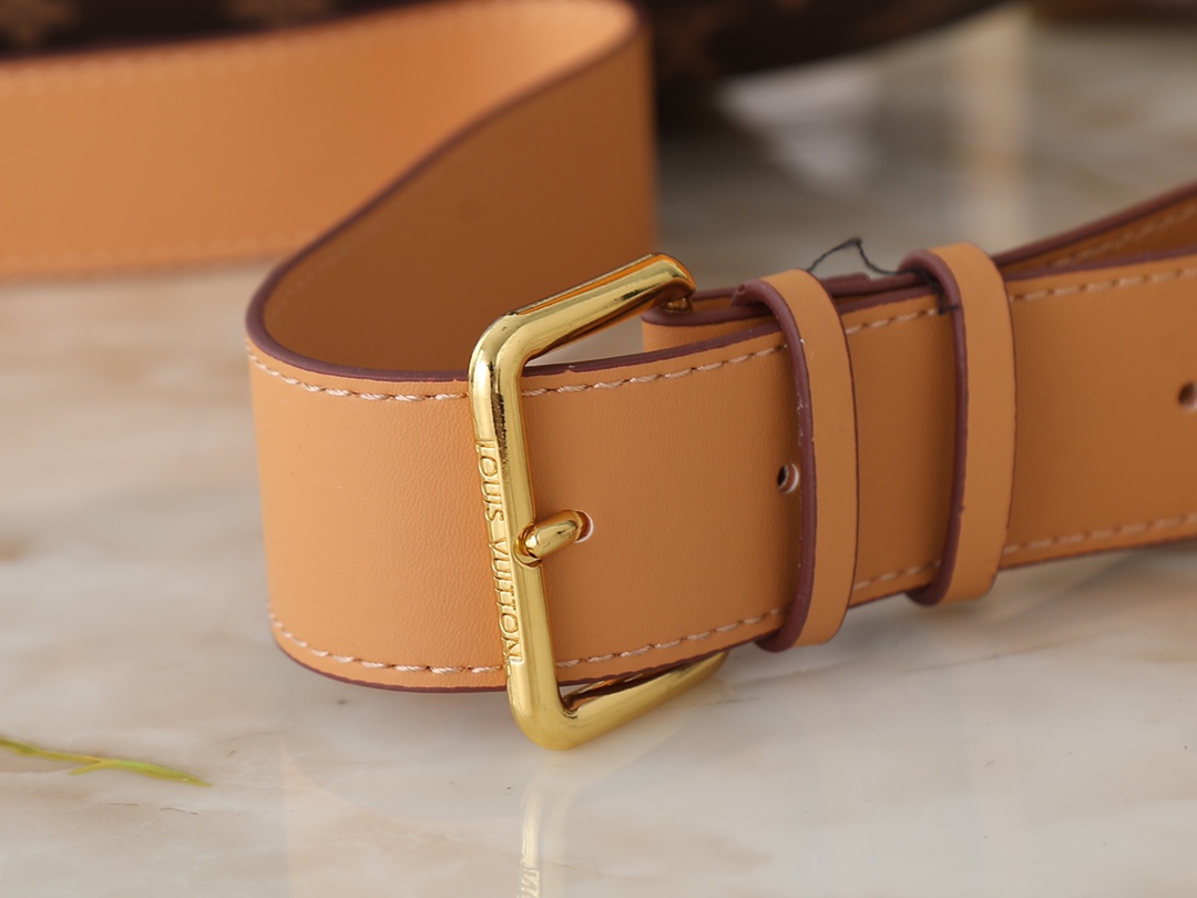 New Luxury LV Bag 10428