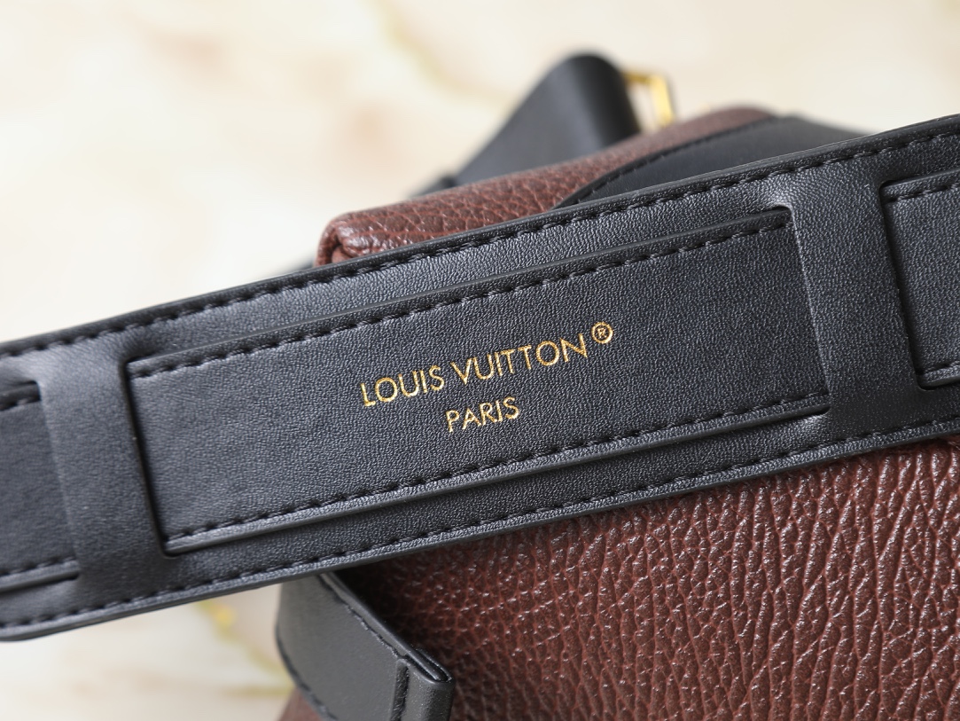 New Luxury LV Bag 10432