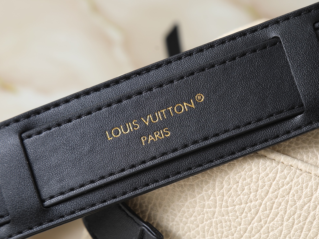 New Luxury LV Bag 10435