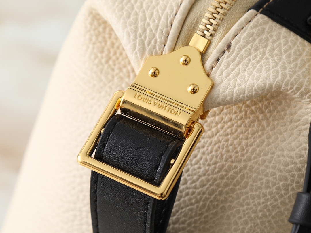 New Luxury LV Bag 10436