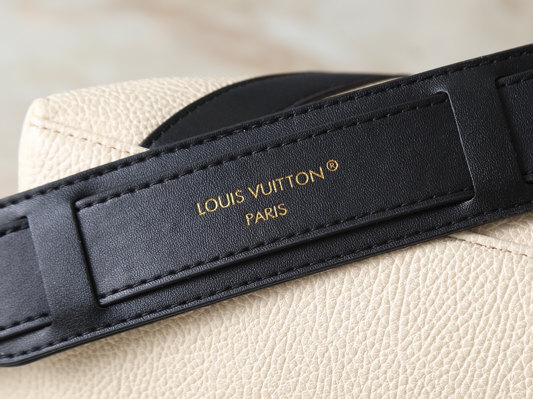 New Luxury LV Bag 10436