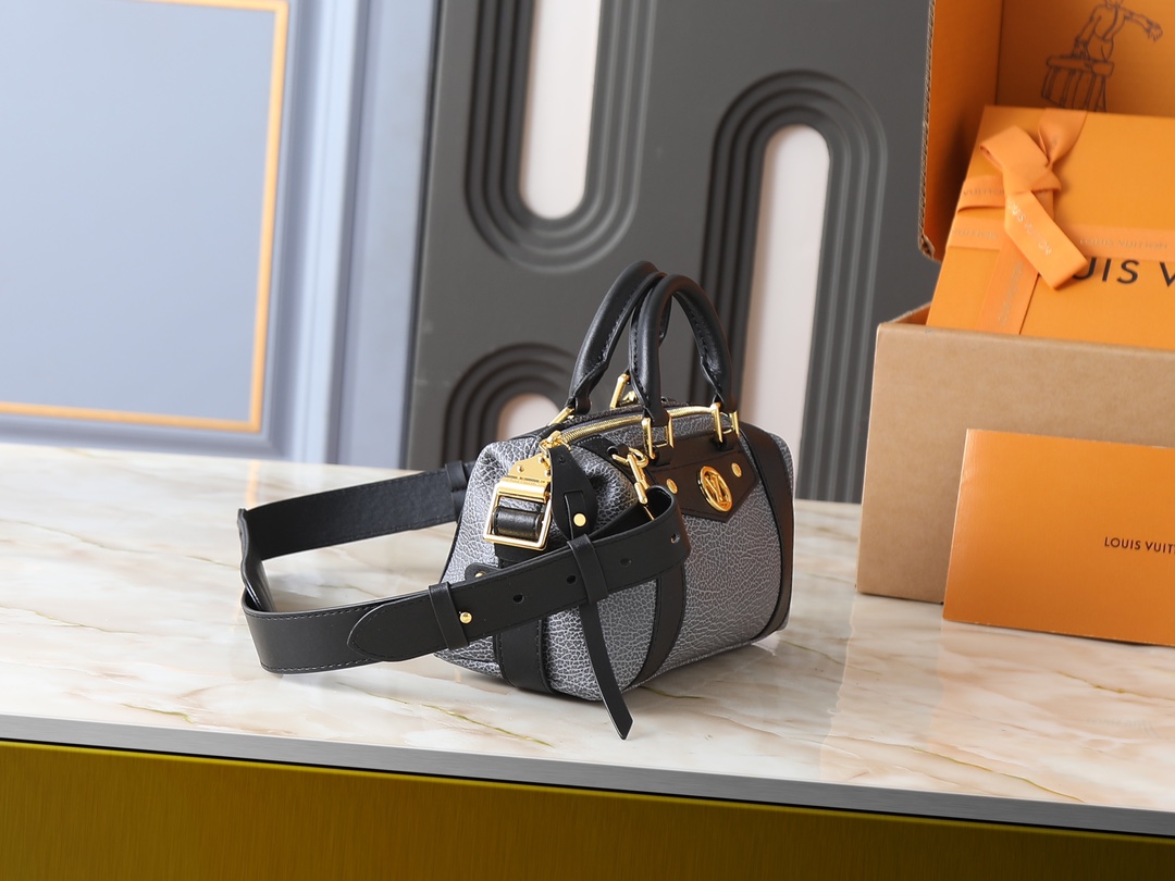 New Luxury LV Bag 10437