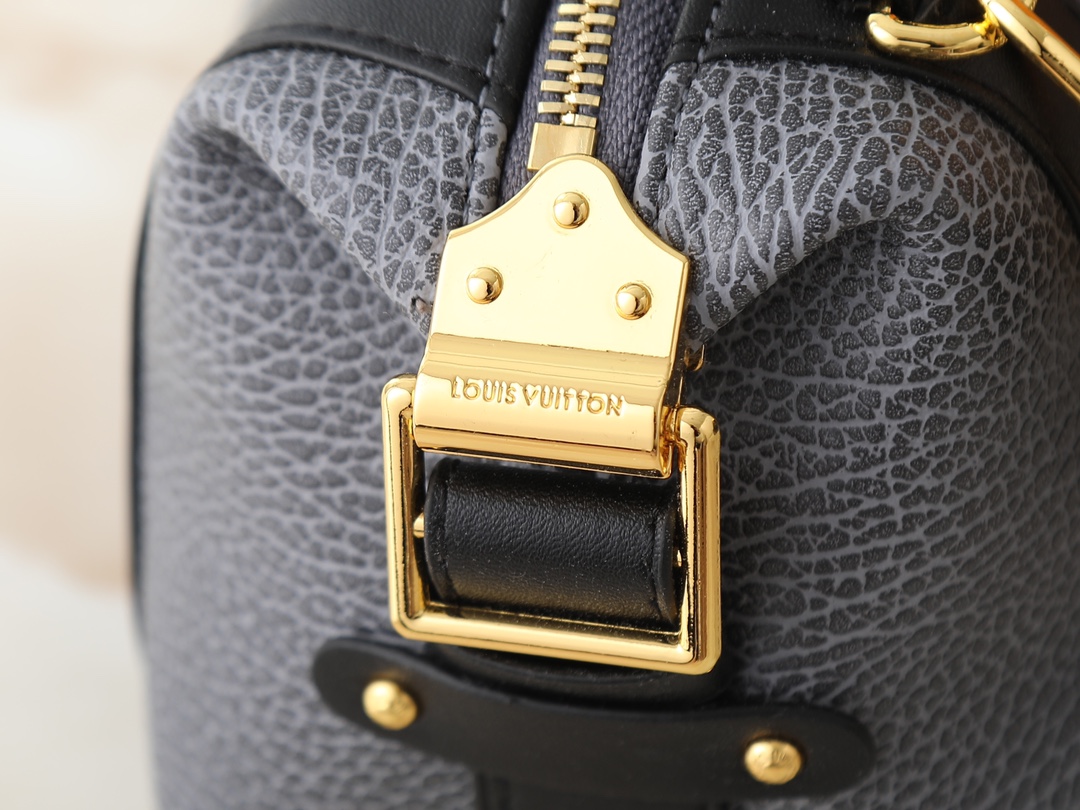 New Luxury LV Bag 10437