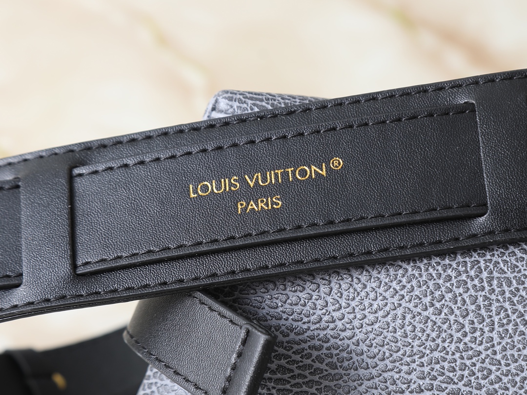 New Luxury LV Bag 10438