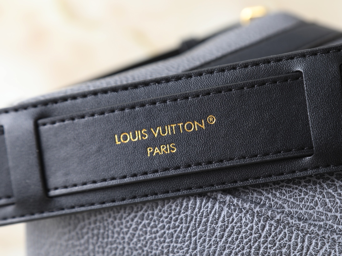 New Luxury LV Bag 10439