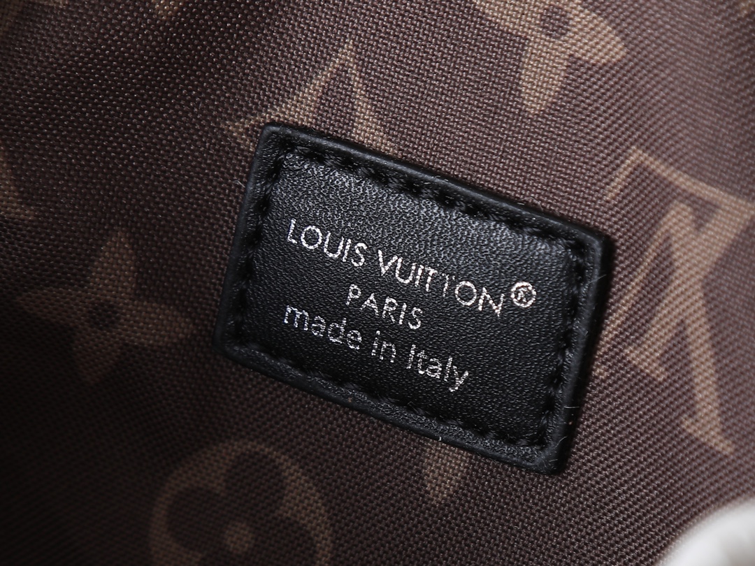 New Luxury LV Bag 10443