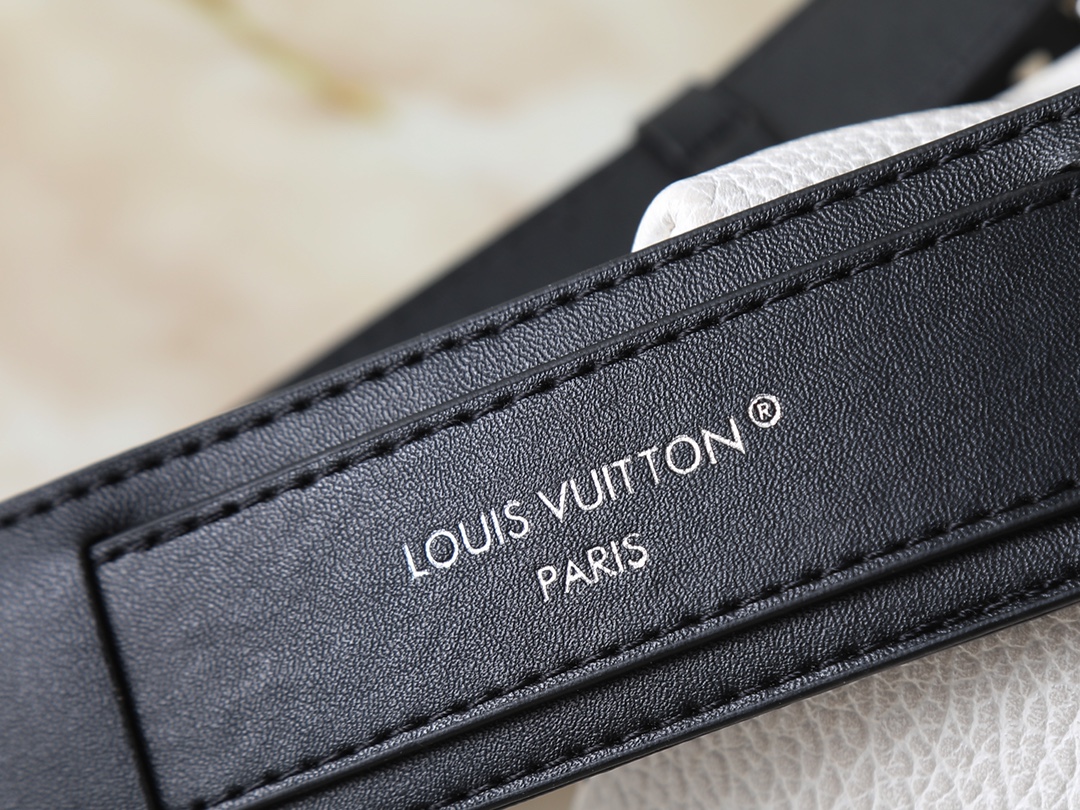 New Luxury LV Bag 10444