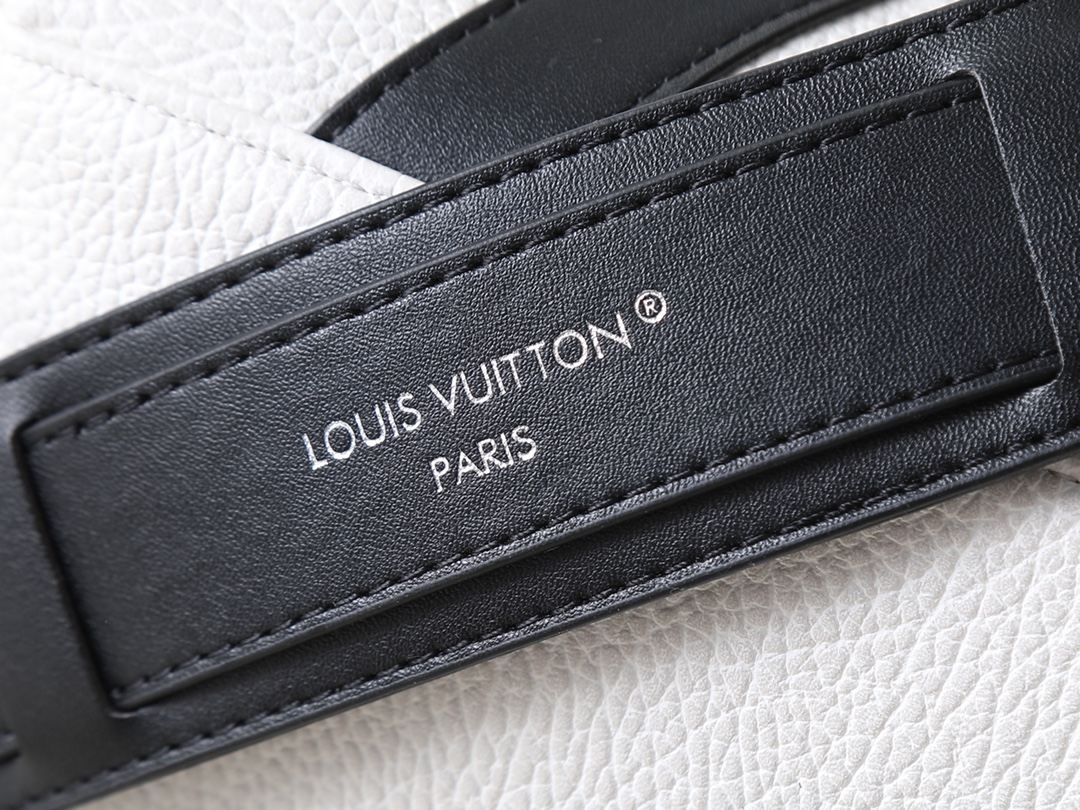 New Luxury LV Bag 10445