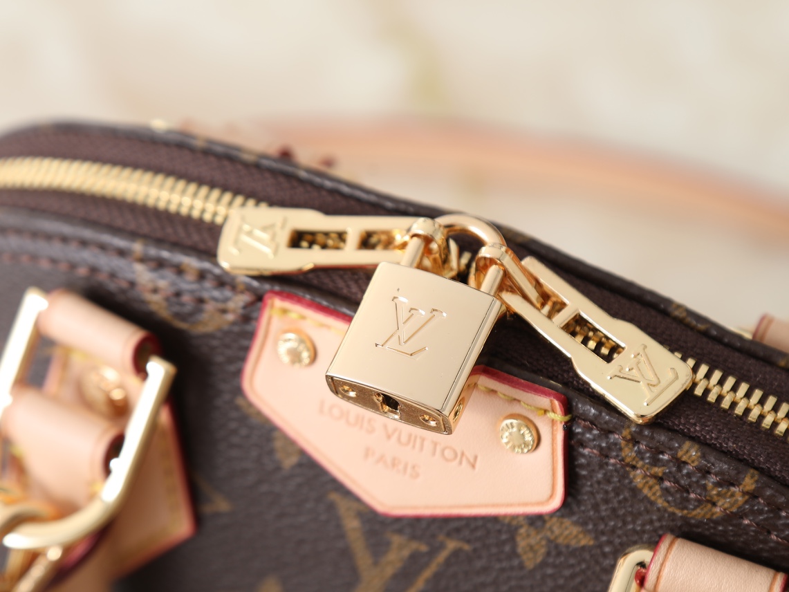 New Luxury LV Bag 10460