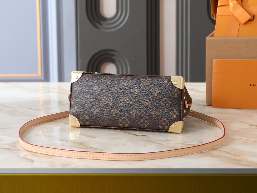 New Luxury LV Bag 10460