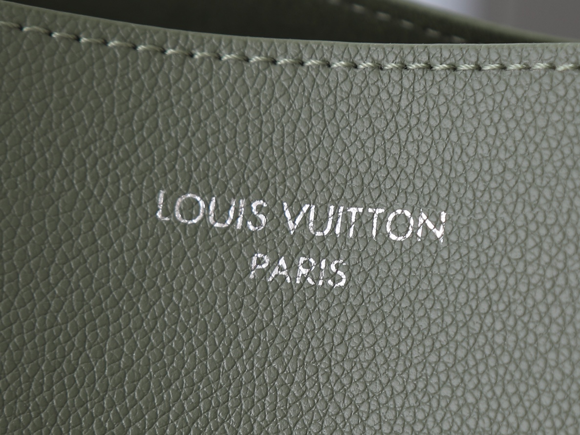 New Luxury LV Bag 10463