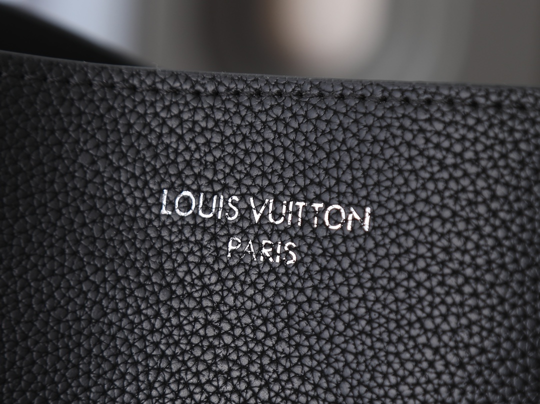New Luxury LV Bag 10464