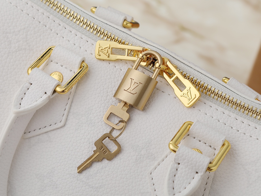 New Luxury LV Bag 10475