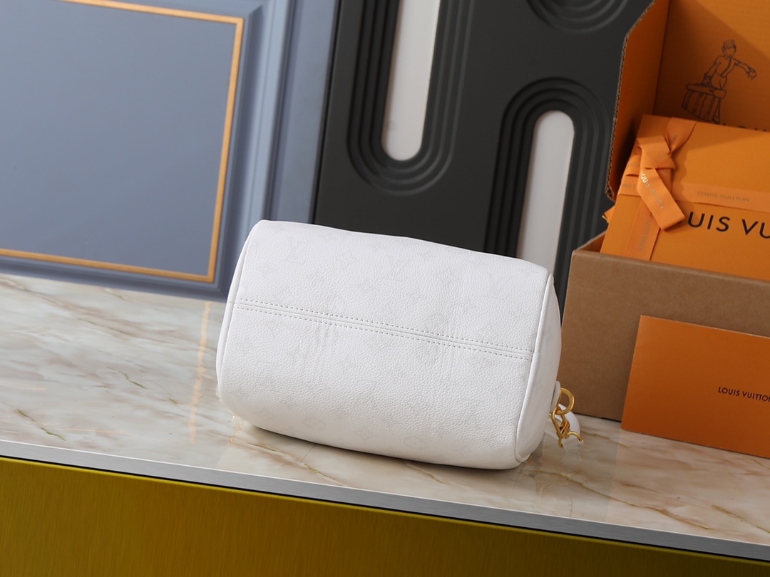 New Luxury LV Bag 10475