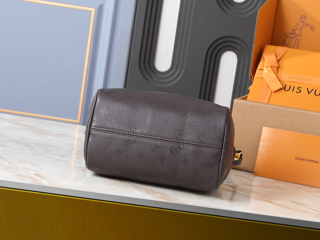 New Luxury LV Bag 10476