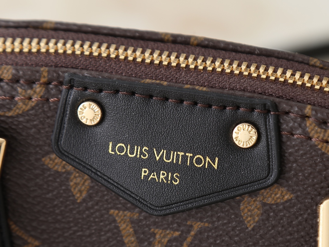New Luxury LV Bag 10491
