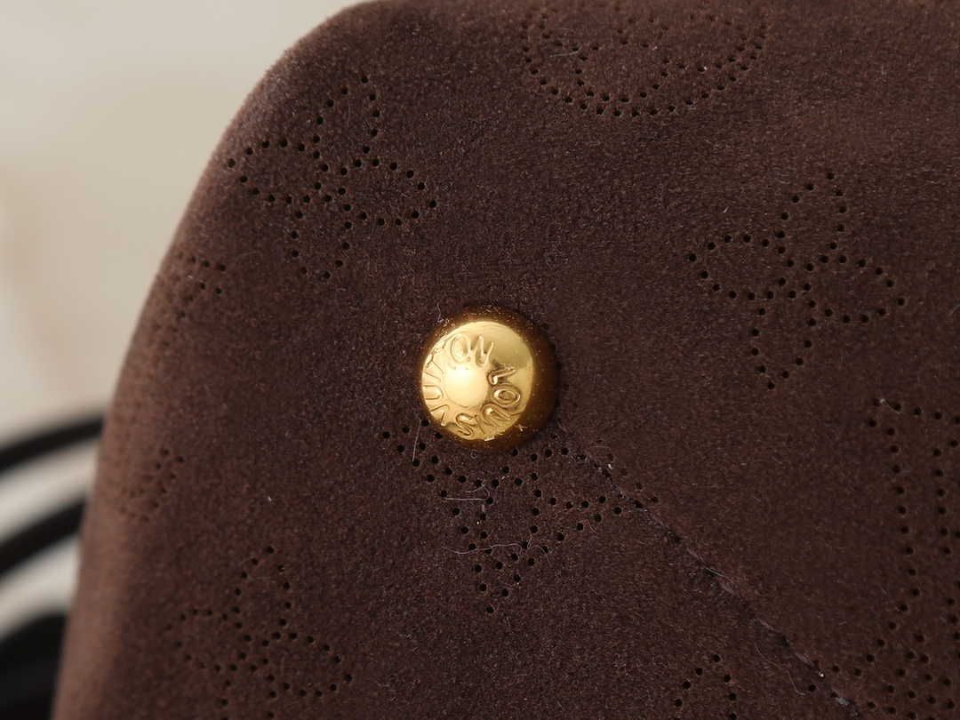 New Luxury LV Bag 10496