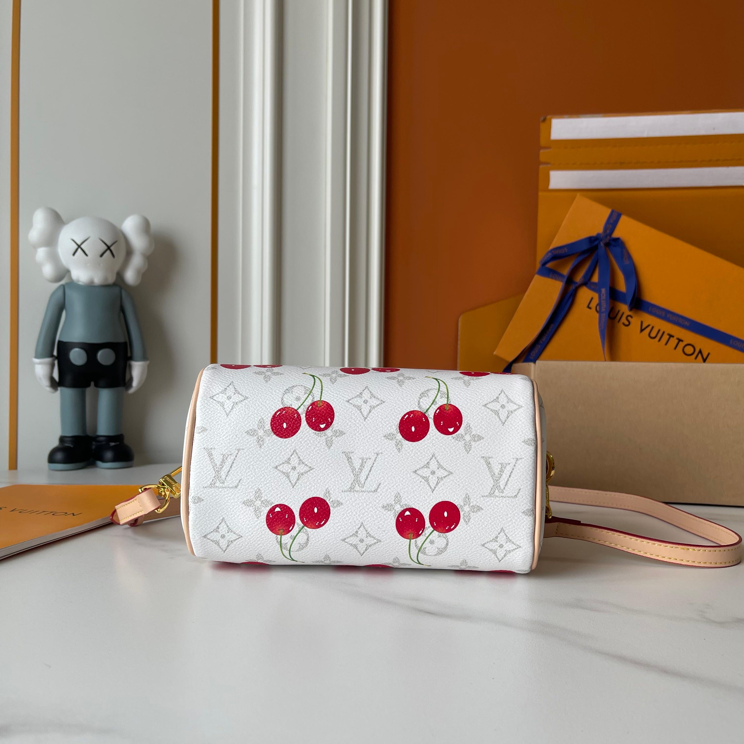 New Luxury LV Bag 10506