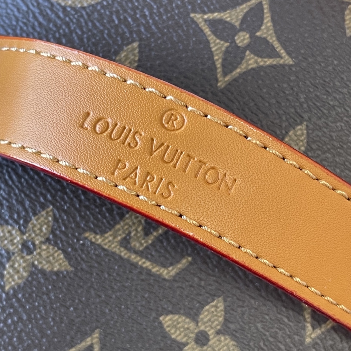 New Luxury LV Bag 10511
