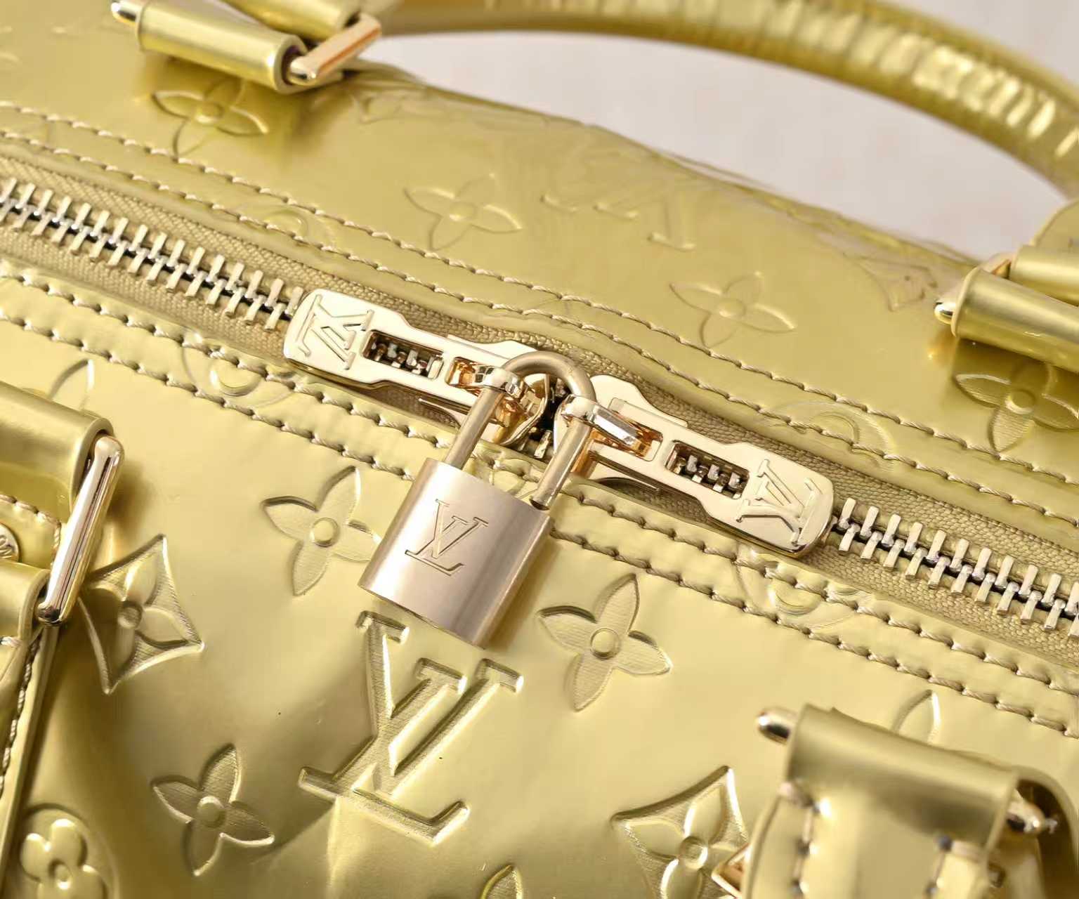New Luxury LV Bag 10531