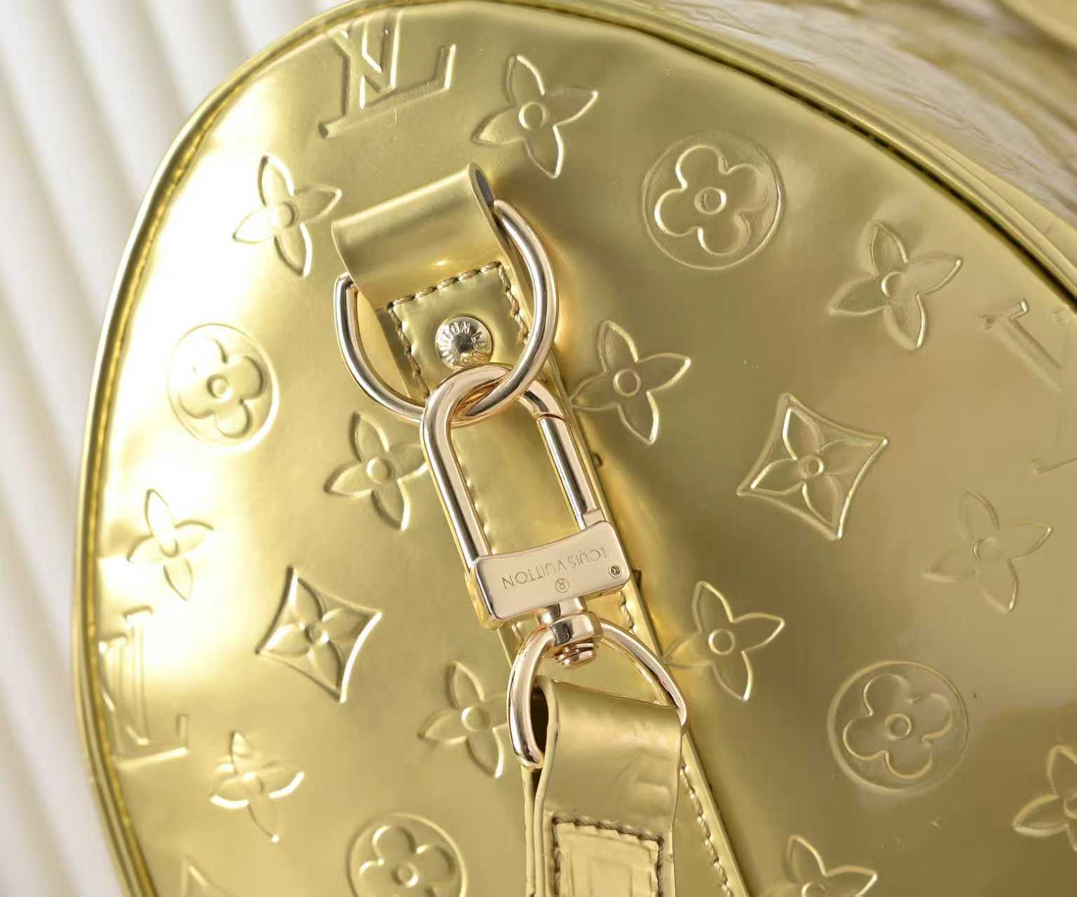 New Luxury LV Bag 10531