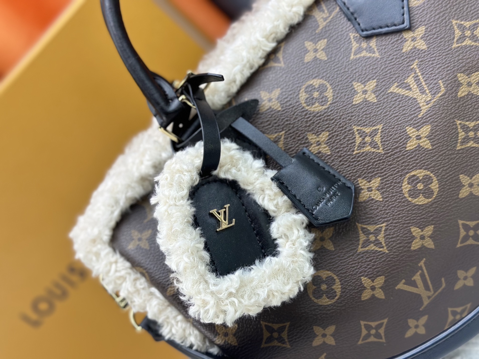 New Luxury LV Bag 10534