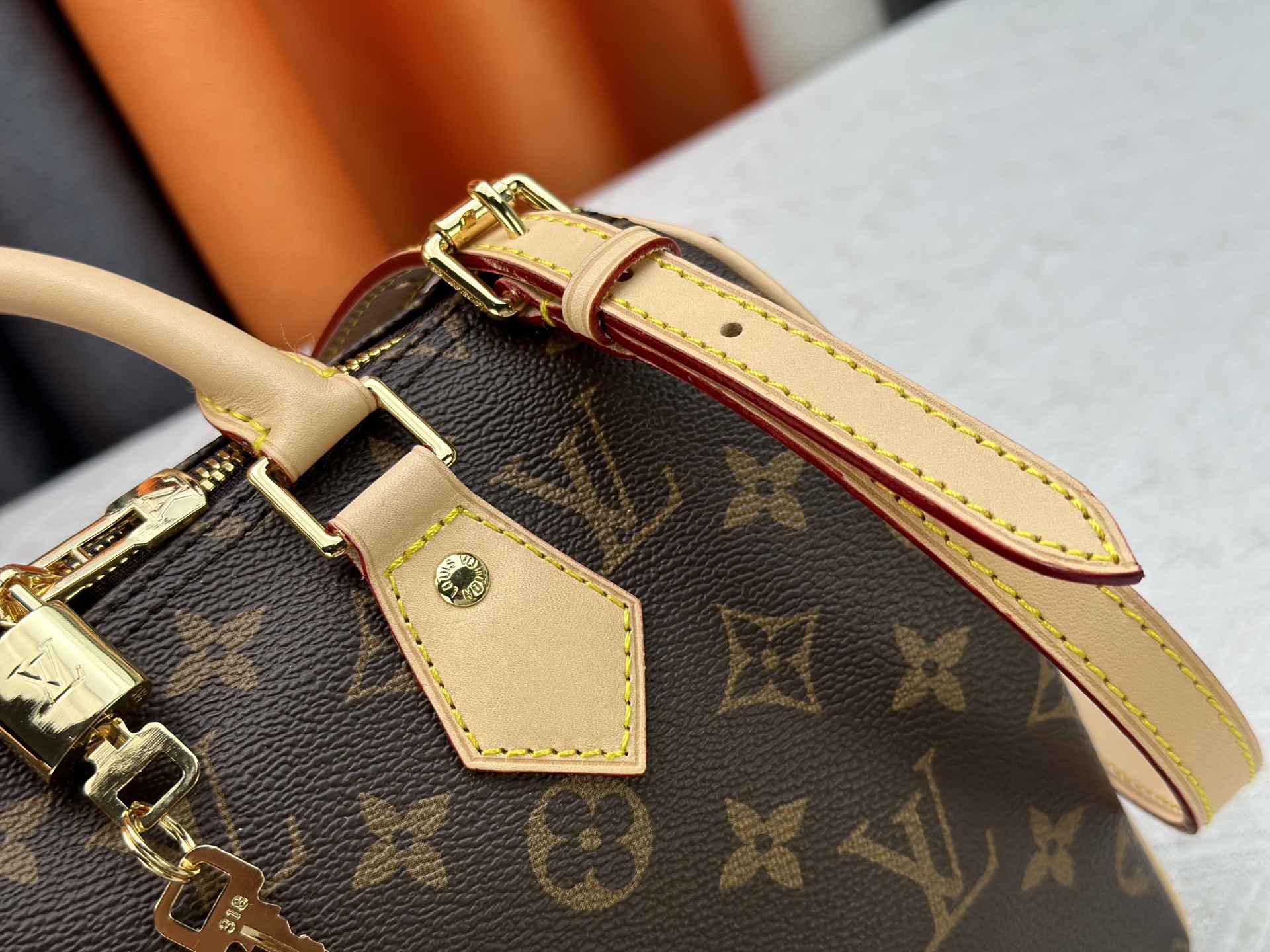 New Luxury LV Bag 10548