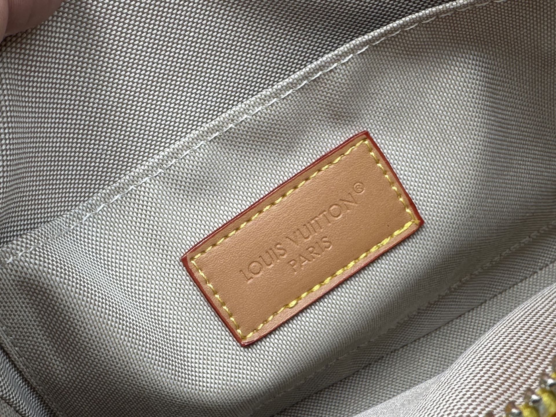 New Luxury LV Bag 10557