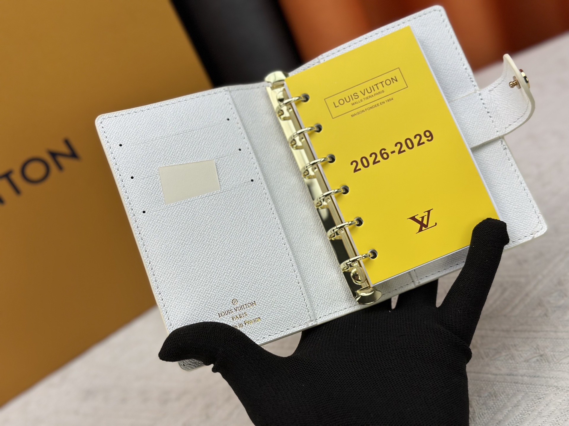 New Luxury LV Bag 10563