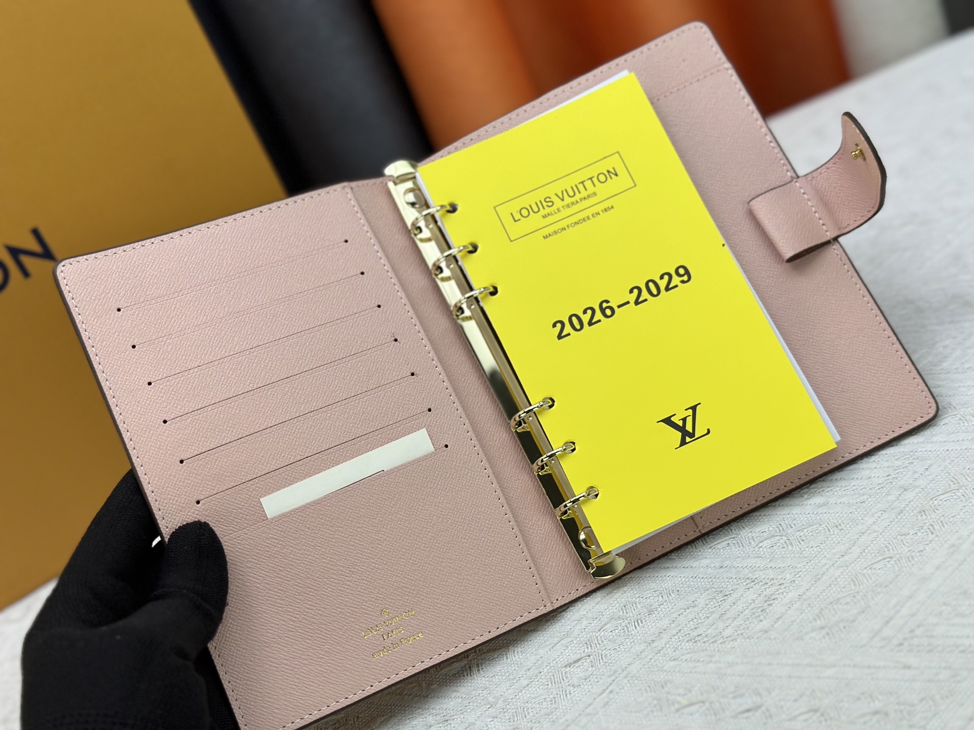 New Luxury LV Bag 10569