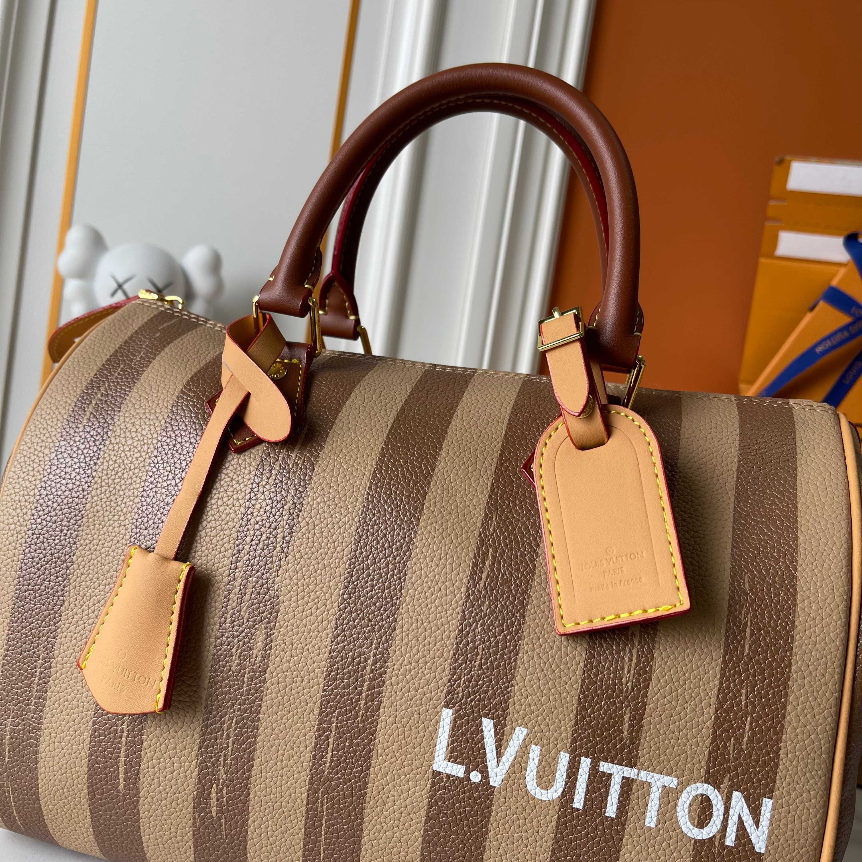 New Luxury LV Bag 10653
