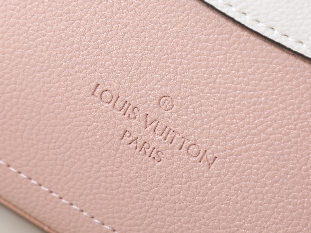 New Luxury LV Bag 10655