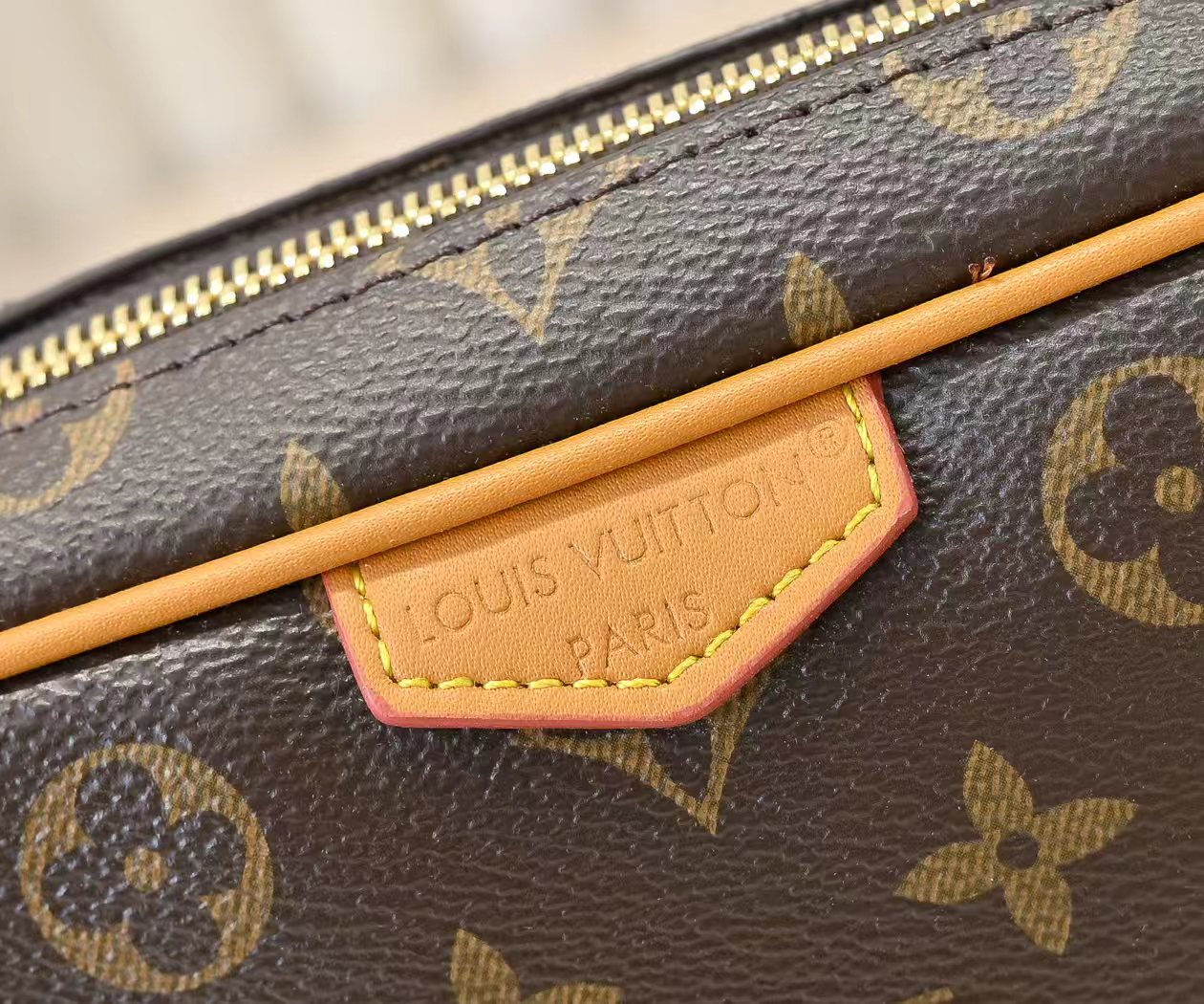 New Luxury LV Bag 10665