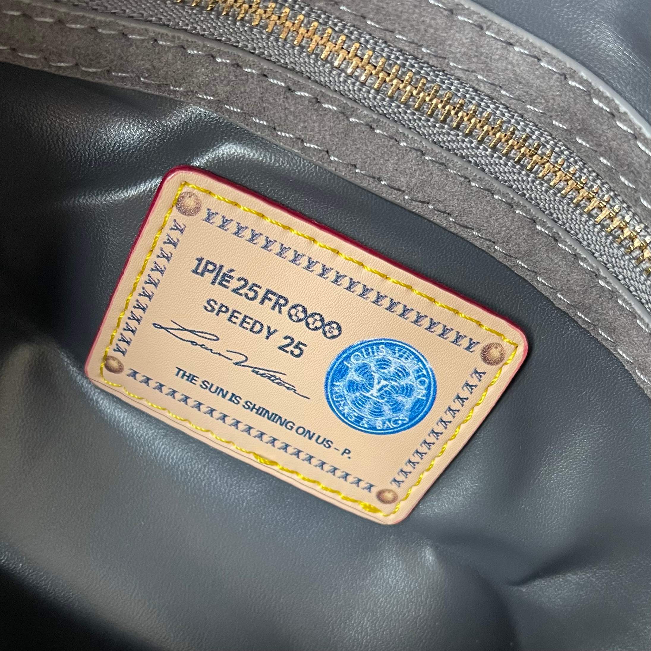 New Luxury LV Bag 10669